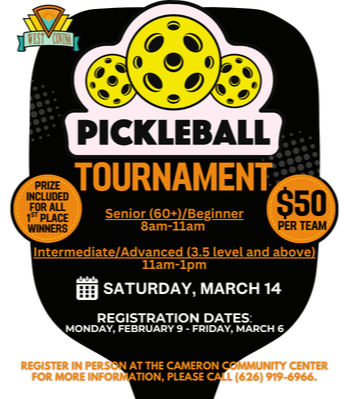 2026 Pickleball Tournament